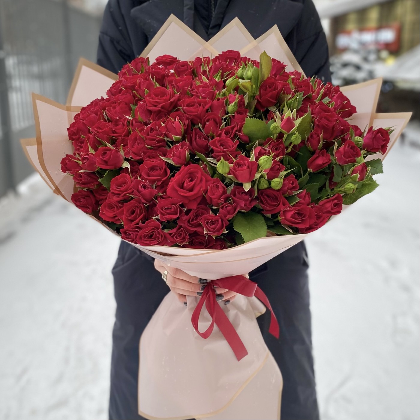 51 кустовая красная роза Рубикон 50 см